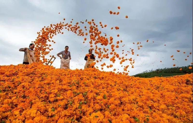 j9九游j9九游国际站站(中国)-九游会官网j9