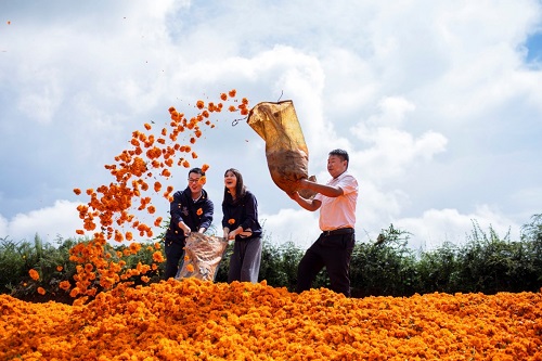 j9九游j9九游国际站站(中国)-九游会官网j9