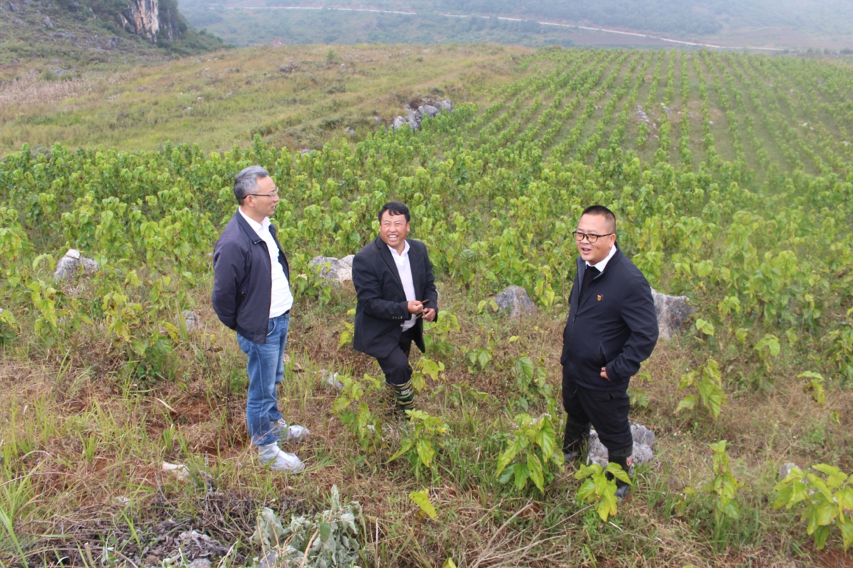 j9九游j9九游国际站站(中国)-九游会官网j9