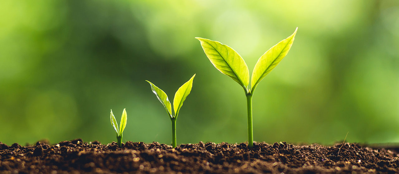 j9九游j9九游国际站站(中国)-九游会官网j9